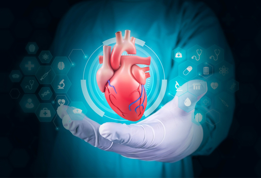 Top 10 Myths About Heart Disease: Common Misconceptions